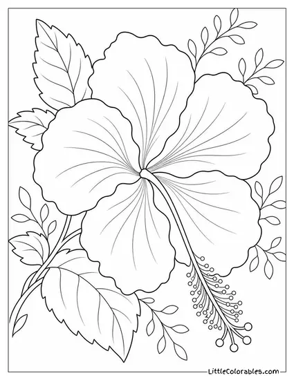 Single Hibiscus with a Long Trailing Stamen in Detail Coloring Page