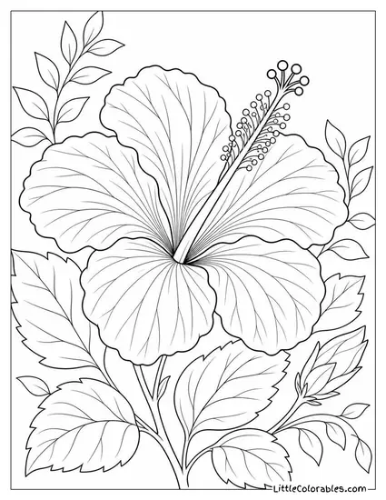 Single Hibiscus with Every Vein and Stamen in Fine Detail Coloring Page