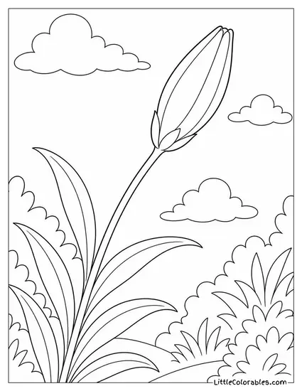 Single Lily Bud Tightly Closed on a Long Arching Stem Coloring Page
