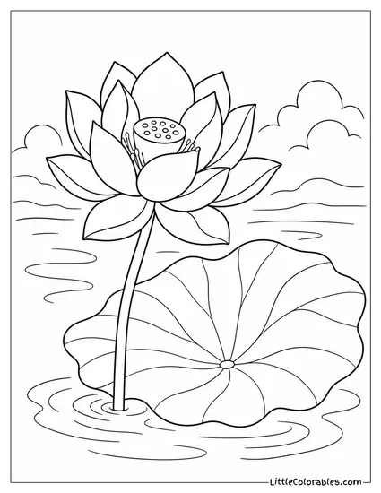 Single Lotus Bloom Beside its Own Large Flat Leaf Coloring Page