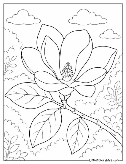 Single Magnolia Bloom on a Branch with Three Leaves Coloring Page