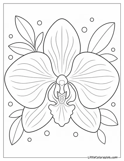 Single Orchid Bloom Viewed from Directly Above Coloring Page