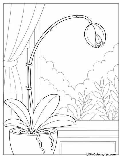 Single Orchid Bud on a Long Arching Spray Just About to Open Coloring Page