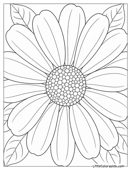 Single Oversized Daisy Filling the Entire Frame Coloring Page
