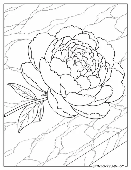 Single Peony Bloom Resting on a Plain Marble Surface Coloring Page