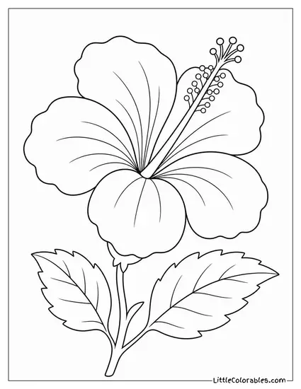 Single Red Hibiscus Against a Plain White Background Coloring Page