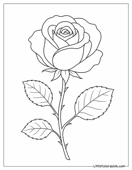 Single Rose Pressed Flat Like a Botanical Print Coloring Page