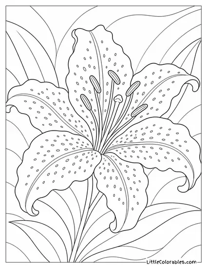 Single Stargazer Lily with Dramatic Speckled Petals Close Up Coloring Page