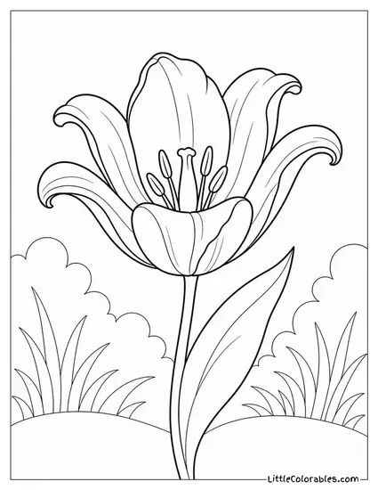 Single Tulip Bloom with Every Petal Curling Outward Coloring Page