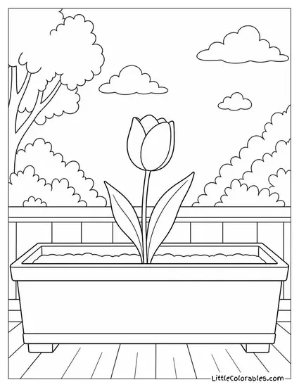 Single Tulip Growing Alone in a Wide Empty Planter Box Coloring Page