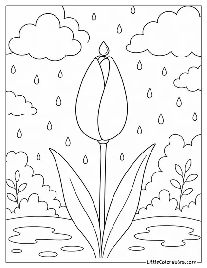 Single Tulip with a Raindrop Balanced on its Closed Tip Coloring Page