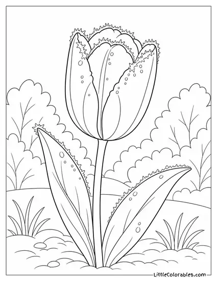 Single Tulip with Morning Frost on its Petals Coloring Page