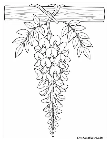 Single Wisteria Cluster Hanging from a Plain Wooden Beam Coloring Page