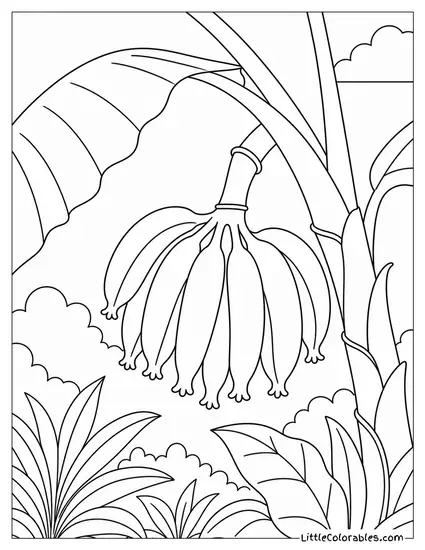 Small Bunch of Young Green Bananas on a Branch Coloring Page