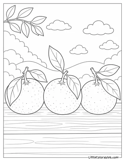Three Clementines with Leaves Still Attached in a Row Coloring Page