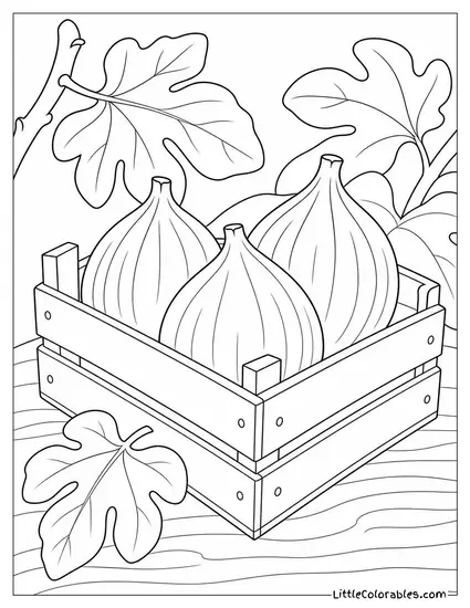 Three Figs in a Small Open Wooden Crate Coloring Page