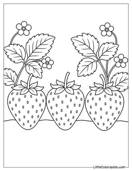 Three Plump Strawberries Arranged Neatly in a Row Coloring Page