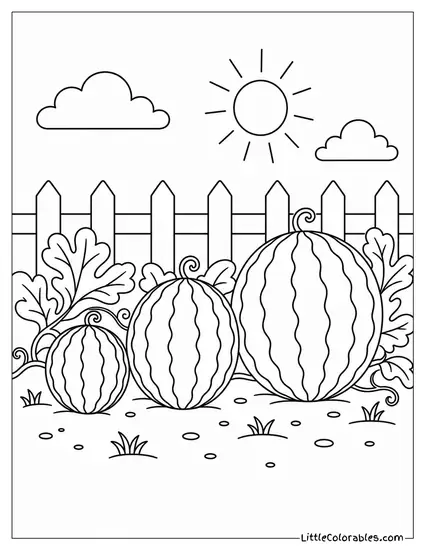 Three Watermelons of Different Sizes Arranged Smallest to Largest Coloring Page