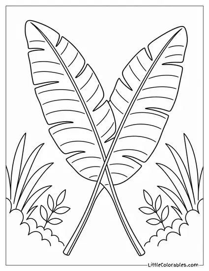 Two Banana Leaves Crossing Each Other Cleanly Coloring Page