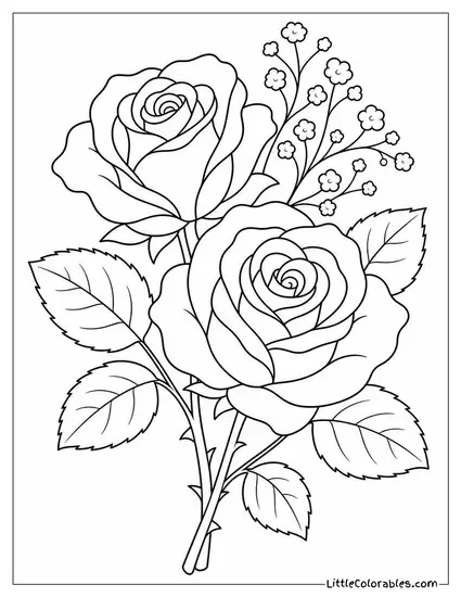 Two Roses and a Small Sprig of Baby's Breath Coloring Page