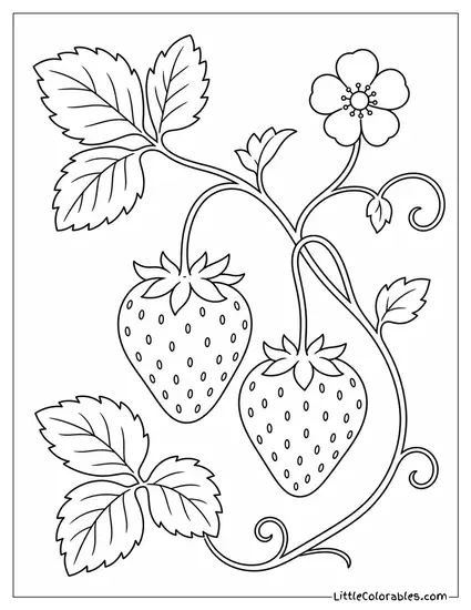 Two Strawberries Hanging Naturally From a Thin Delicate Vine Coloring Page