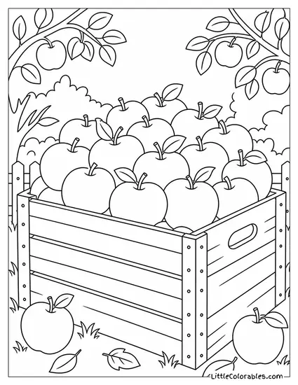 Wooden Crate Packed Tightly with Crisp Autumn Apples Coloring Page