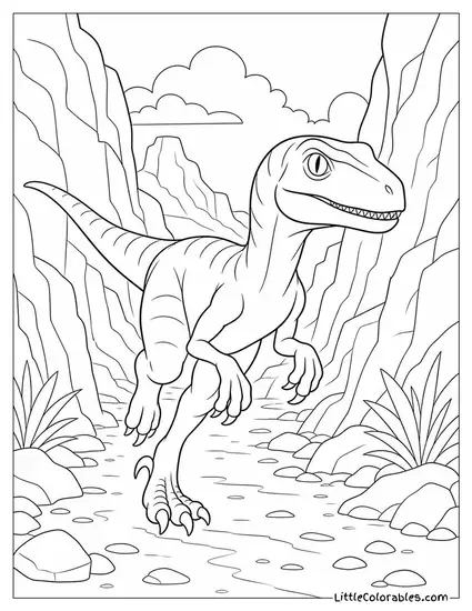 Velociraptor Sprinting Through a Narrow Canyon Pass Coloring Page