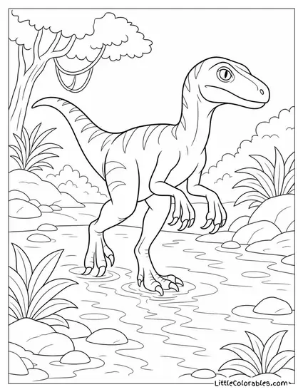 Velociraptor Wading Carefully Through a Shallow Muddy Creek Coloring Page