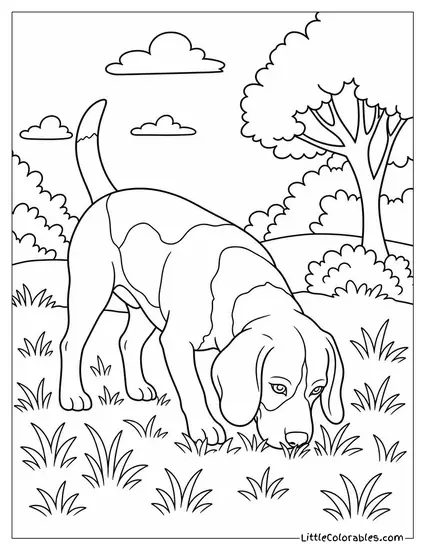 A Beagle Investigating Every Single Blade of Grass on a Walk Coloring Page