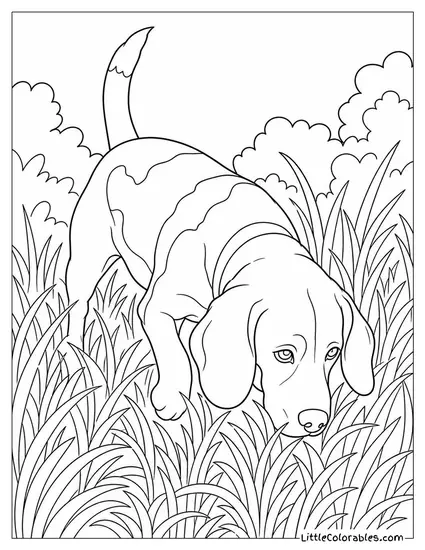 A Beagle with Nose to the Ground Tracking a Scent Through Tall Grass Coloring Page