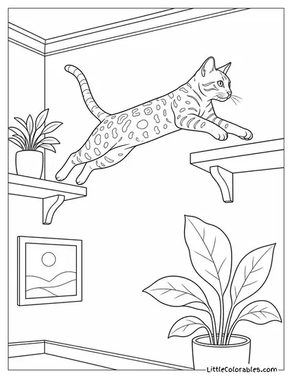 A Bengal Cat Leaping from One High Shelf to Another Coloring Page