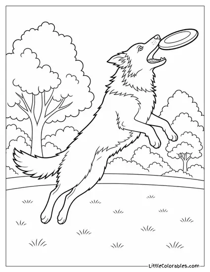 A Border Collie Catching a Frisbee Mid Air in a Park Coloring Page