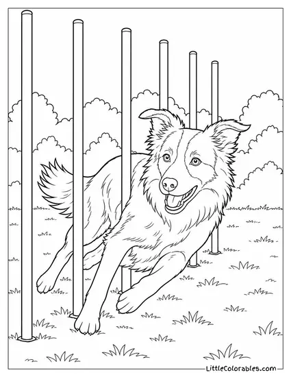 A Border Collie Weaving Through Agility Poles at Full Speed Coloring Page