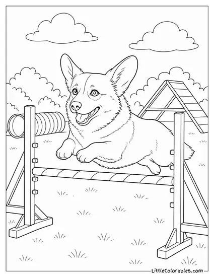 A Corgi at an Agility Trial Clearing Every Jump with Ears Flying Coloring Page