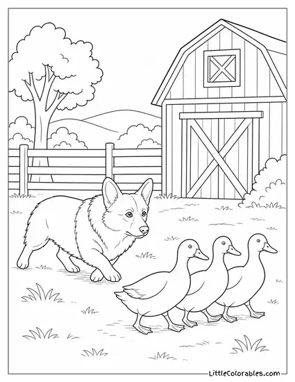 A Corgi Herding Ducks on a Farm with Intense Focus Coloring Page