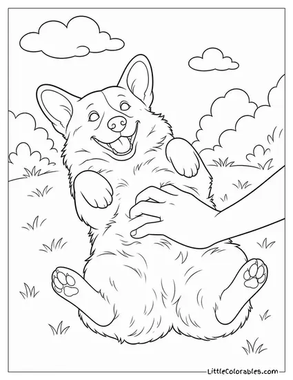A Corgi Receiving a Belly Rub with Maximum Wiggling Coloring Page