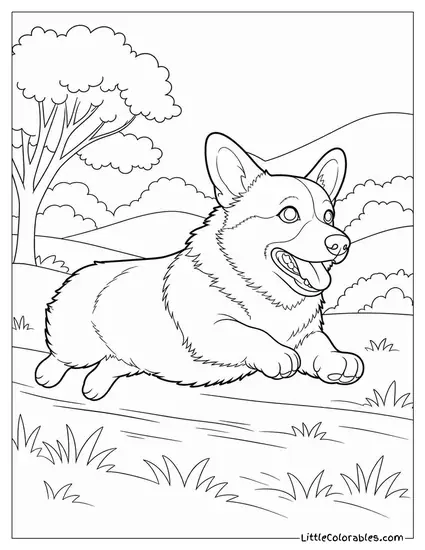A Corgi Sprinting Flat Out Its Short Legs a Blur Coloring Page