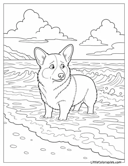 A Corgi Standing in the Surf Looking Uncertain About the Waves Coloring Page