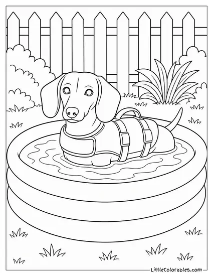 A Dachshund in a Life Jacket Bobbing in a Paddling Pool Coloring Page
