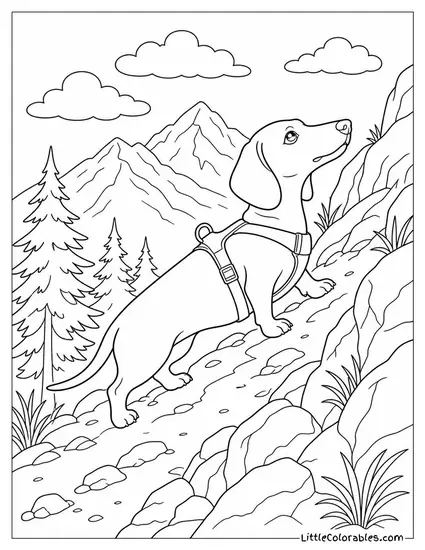 A Dachshund Wearing a Harness Hiking Up a Steep Trail Coloring Page