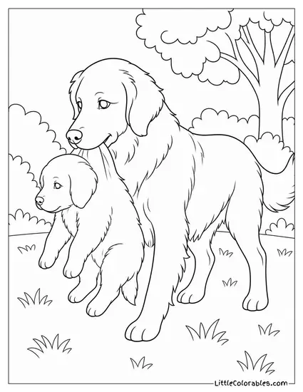 A Golden Retriever Gently Carrying a Puppy by the Scruff Coloring Page