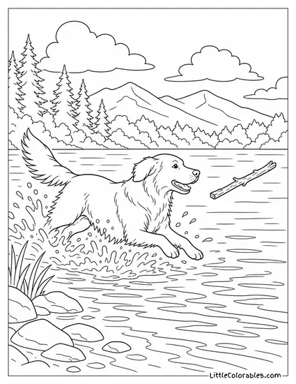 A Golden Retriever Splashing into a Lake to Retrieve a Thrown Stick Coloring Page