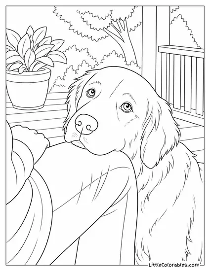 A Golden Retriever with Its Head on Its Owner's Knee Looking Up Coloring Page