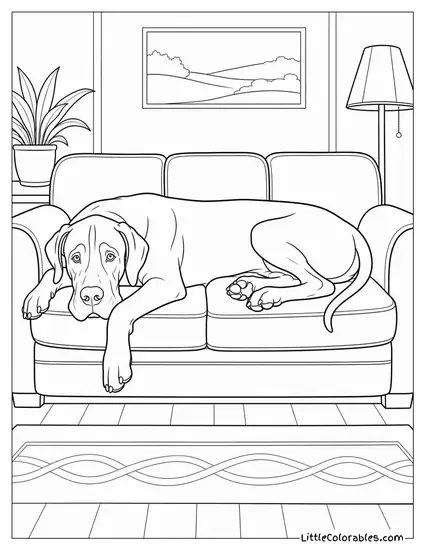 A Great Dane Lying Across an Entire Sofa Leaving No Room for Anyone Coloring Page