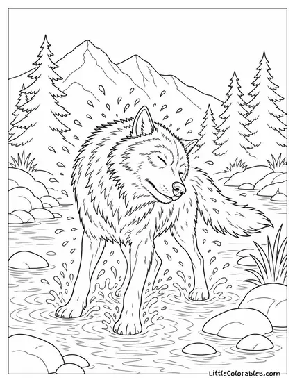 A Grey Wolf Shaking Off Water After Crossing a Shallow Stream Coloring Page