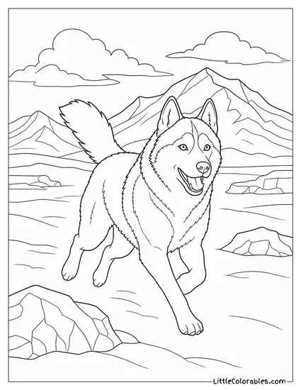 A Husky Running Free Across an Open Arctic Tundra Coloring Page