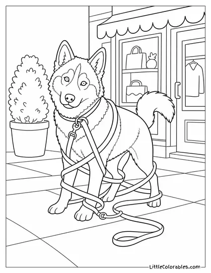 A Husky Tangled in Its Own Leash Outside a Shop Coloring Page