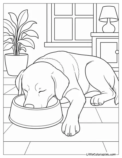 A Labrador Retriever Asleep with Its Head Inside an Empty Food Bowl Coloring Page