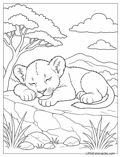 A Lion Cub Falling Asleep on a Warm Flat Rock Coloring Page