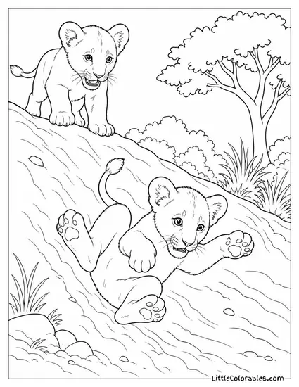 A Lion Cub Tumbling Down a Sandy Hill After Its Sibling Coloring Page